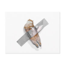 Jag är den bästa bananen!