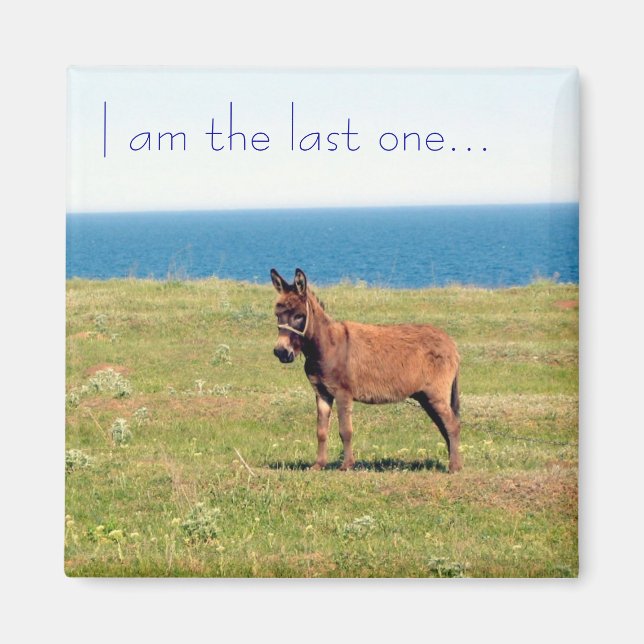 Jag är den sista.. Magnet (Framsidan)
