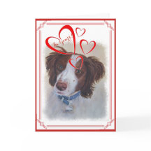 JAG ÄR DIN VALENTINE STATELY AUBURN SETTER MIX