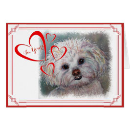 JAG ÄR DIN VALENTINE SWEET WHITE MALTESE YORKIE MI HÄLSNINGSKORT