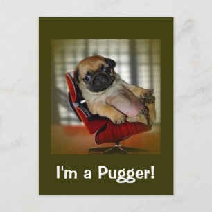 Jag är en Apuger! Vykort