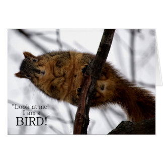 Jag är en BIRD! Hälsningskort