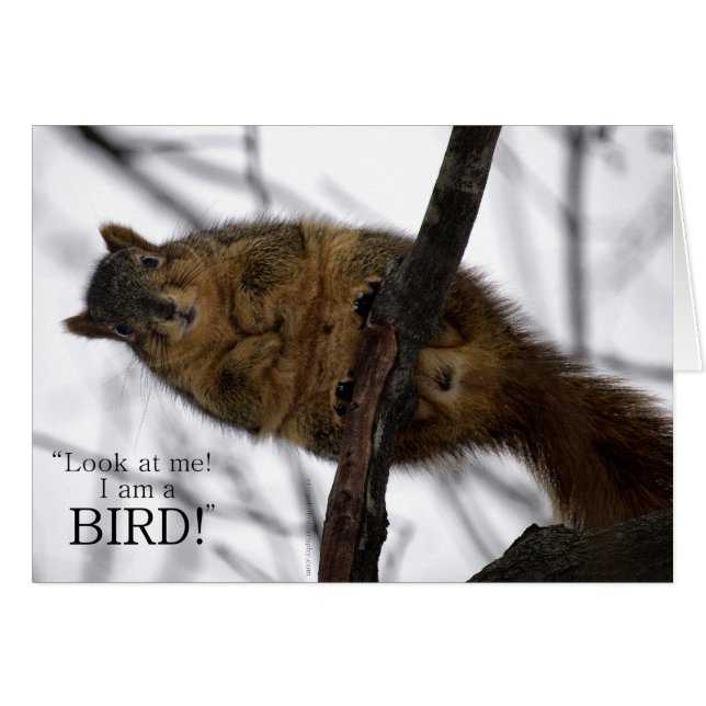 Jag är en BIRD! Hälsningskort (Framsidan Horizontal)