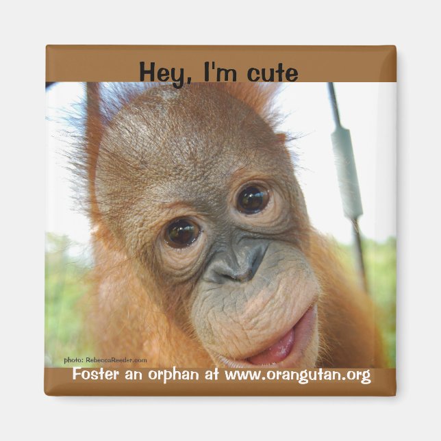 Jag är en Cute Primate Magnet (Framsidan)