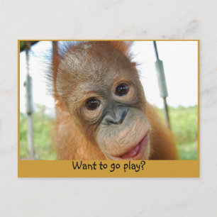 Jag är en Cute Primate Vykort