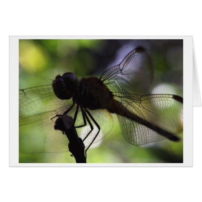 Jag är en fjäril hälsningskort (Framsidan Horizontal)