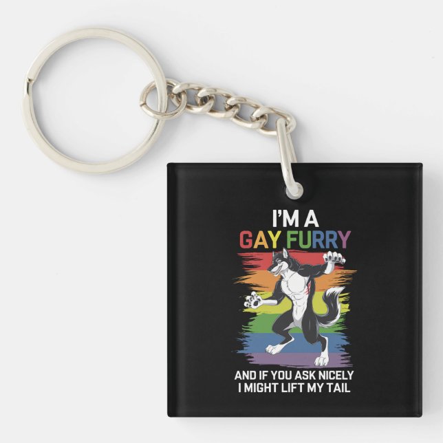 Jag är en gay furry räv regnbåge HBTQ stolthet (Framsidan)