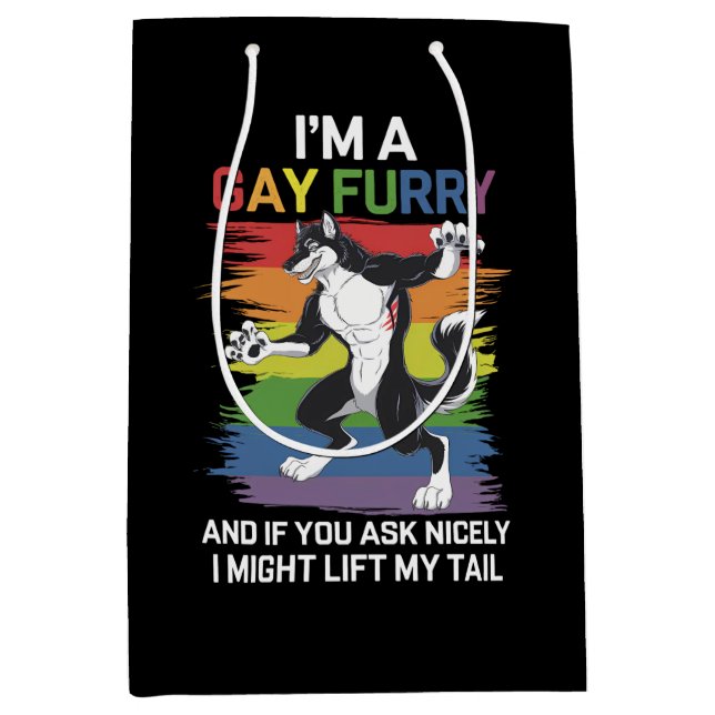 Jag är en gay furry räv regnbåge HBTQ stolthet (Framsidan)