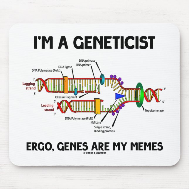 Jag är en genetikist, Ergo Genes är mina minnen (D Musmatta (Framsidan)