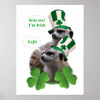 Jag är en iriskatt