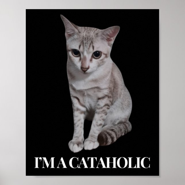 Jag är en katahollös Cat Mode Poster (Framsidan)