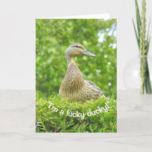 "JAG ÄR EN LUCKY DUCKY/HAR DIG FÖR EN PAPPA" KORT