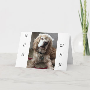 "JAG ÄR EN LUCKY HUND" att ha **DU* MAMMA - BIRTHD Kort