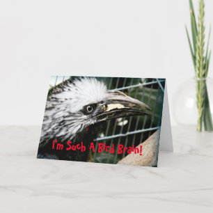 Jag är en sån fågelhjärnburk med ett häftande föde kort
