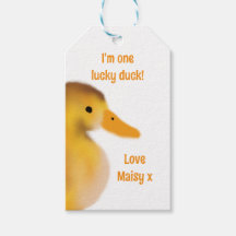 Jag är en tur anka-favorit