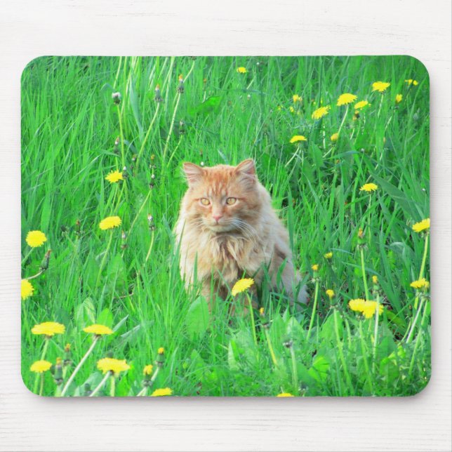 Jag är ett dandy lion musmatta (Framsidan)
