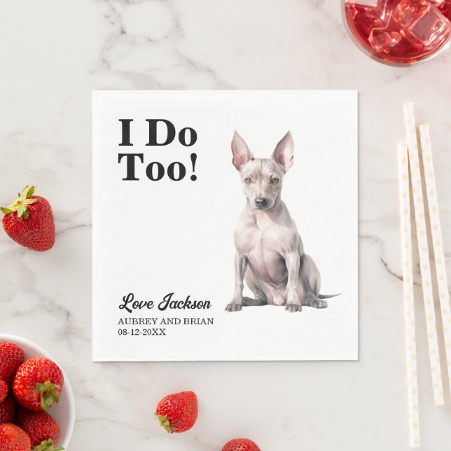 Jag är för amerikansk Hairless Terrier Bröllop Pappersservett (Insitu)