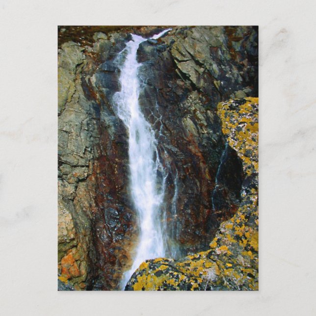 JAG ÄR FÖR ENSAM I VÄRLDEN VYKORT (Framsida)