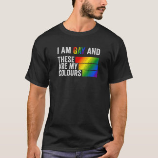 Jag är Gay och det här är min Färg T Shirt