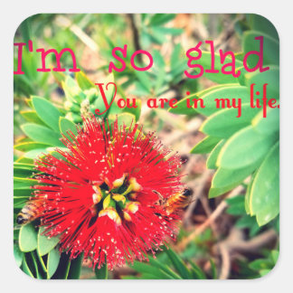Jag är glad att du är i mitt liv fyrkantigt klistermärke