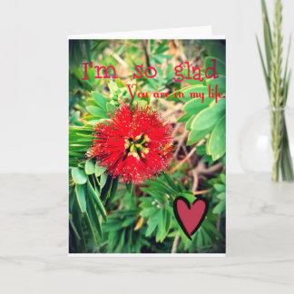 Jag är glad att du är i mitt liv kort