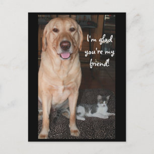 Jag är glad att du är min vän! vykort