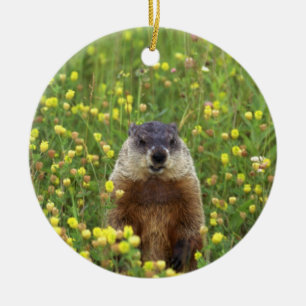 Jag är Groundhog Julgransprydnad Keramik