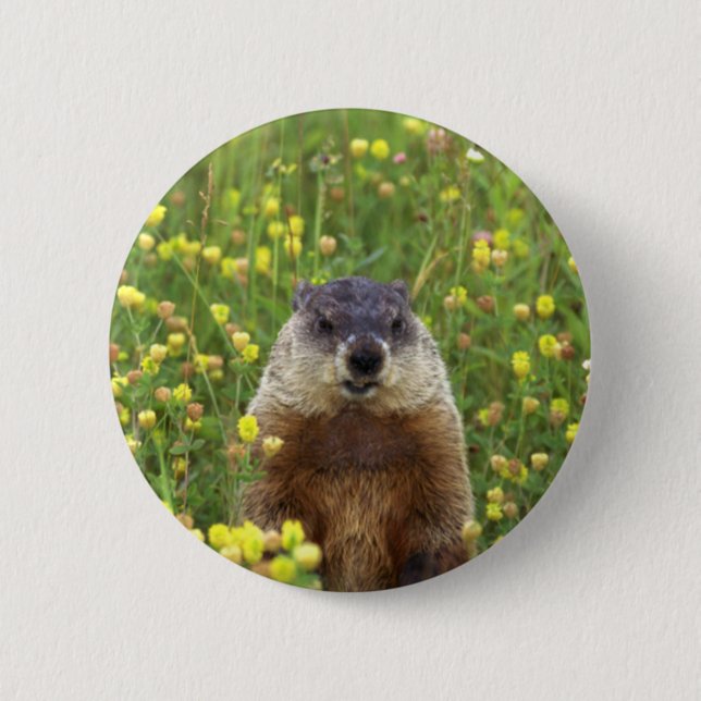 Jag är Groundhog Knapp (Framsida)