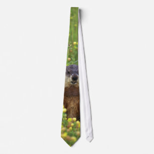 Jag är Groundhog Slips