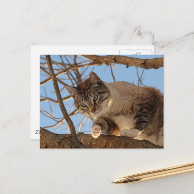 Jag är här uppe vykort (Fram/Back In Situ)