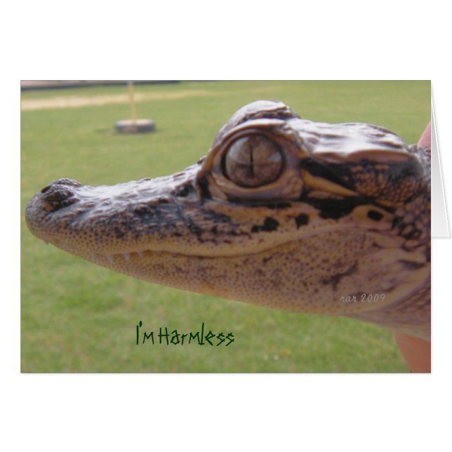 Jag är Harmless Hälsningskort (Framsidan Horizontal)