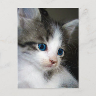 JAG ÄR HELT FRÅN HUVUDET TILL TOE VYKORT