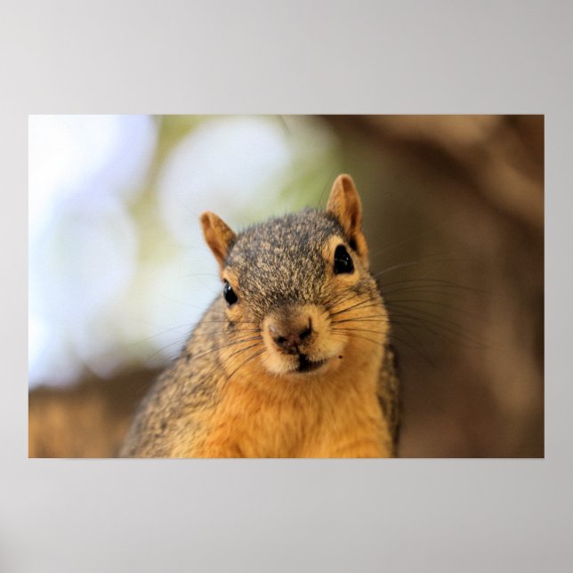 Jag är i hemlighet omstörtande! Mwah, hah, hah! Poster (Framsidan)