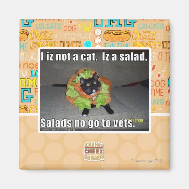 Jag är ingen katt. Iz en sallad. Magnet (Framsidan)