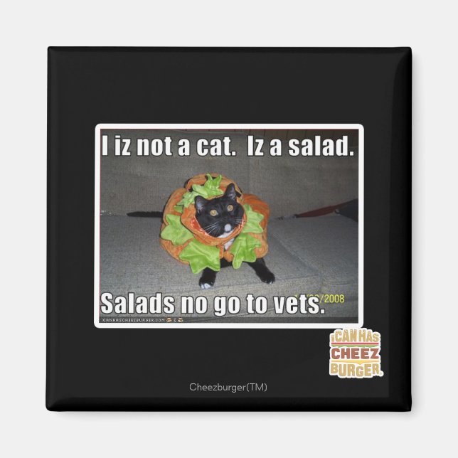 Jag är ingen katt. Iz en sallad. Magnet (Framsidan)