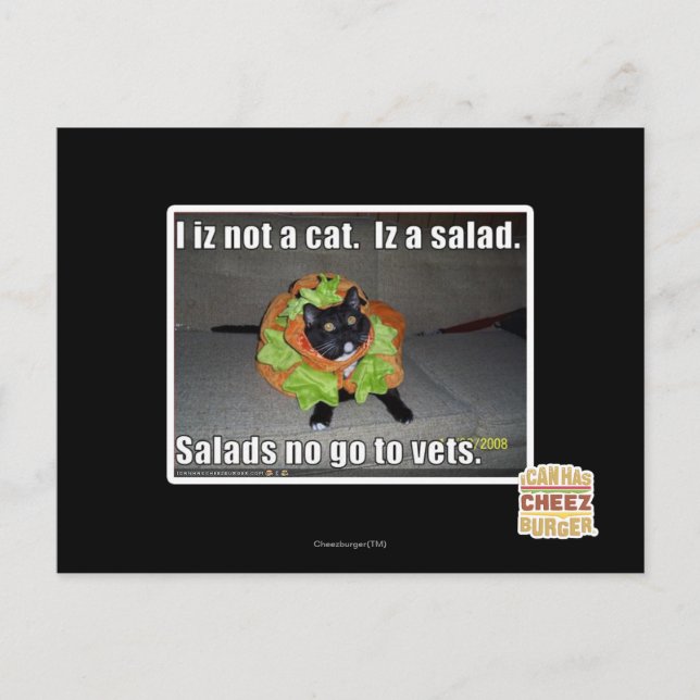 Jag är ingen katt. Iz en sallad. Vykort (Framsida)