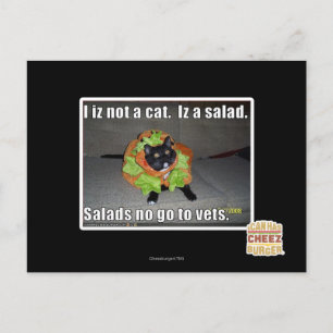 Jag är ingen katt. Iz en sallad. Vykort