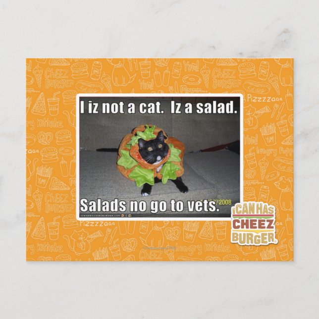 Jag är ingen katt. Iz en sallad. Vykort (Framsida)