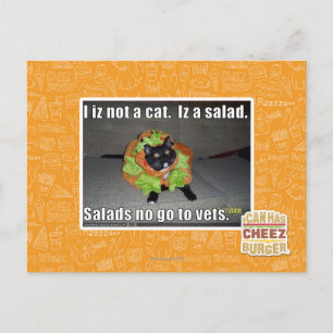 Jag är ingen katt. Iz en sallad. Vykort