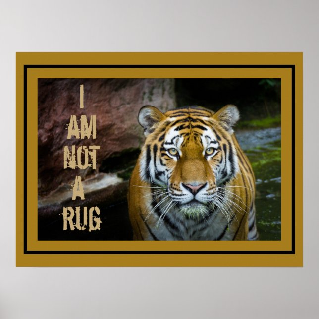Jag är ingen Matta-bengaltiger Poster (Framsidan)
