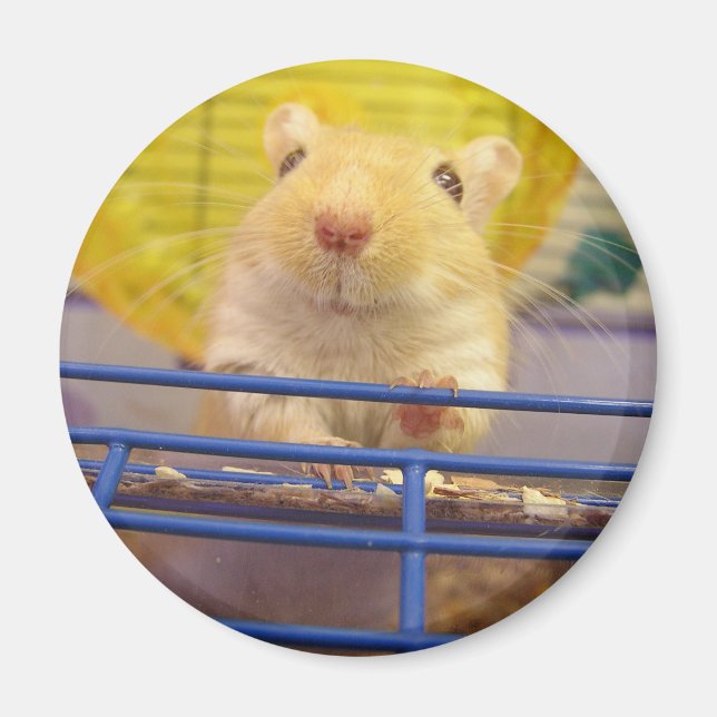 Jag är ingen mus magnet (Framsidan)