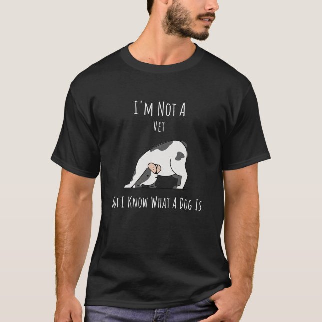 Jag är ingen vet, men jag vet vad en Hund är T Shirt (Framsida)
