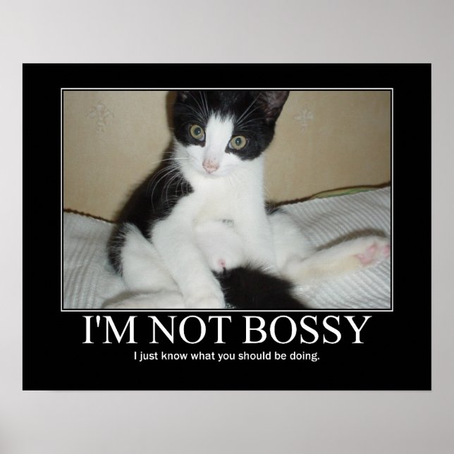 Jag är inte Bossy Cat Artwork Poster (Framsidan)