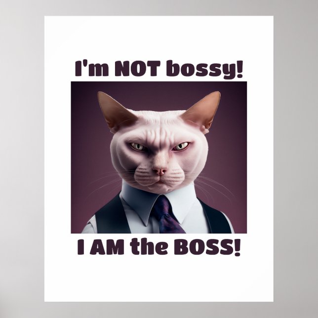 Jag är inte Bossy, jag är Chef - Lustigt Chef Cat Poster (Framsidan)