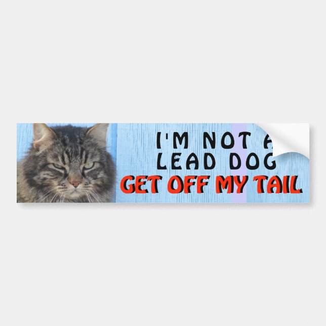 Jag är inte din ledarhund, Cat meme Bildekal (Framsidan)