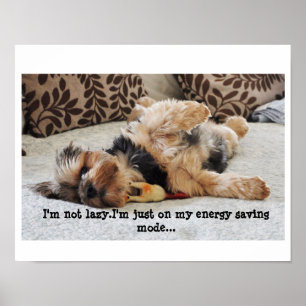 "Jag är inte lat" Poster