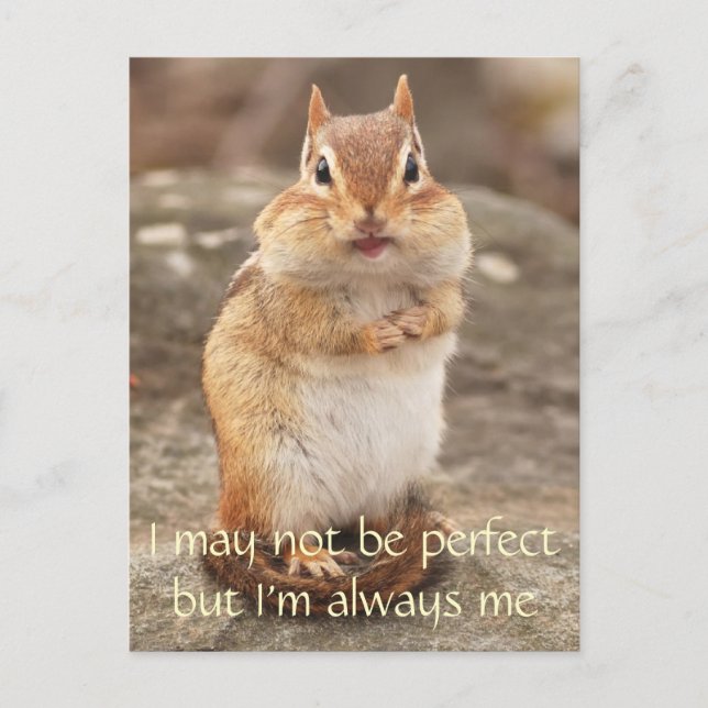 Jag är inte Perfekt Chipmunk Quote Postcard Vykort (Framsida)