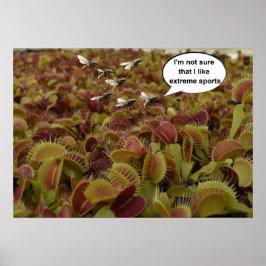 Jag är inte säker på att jag gillar extrem sport. poster