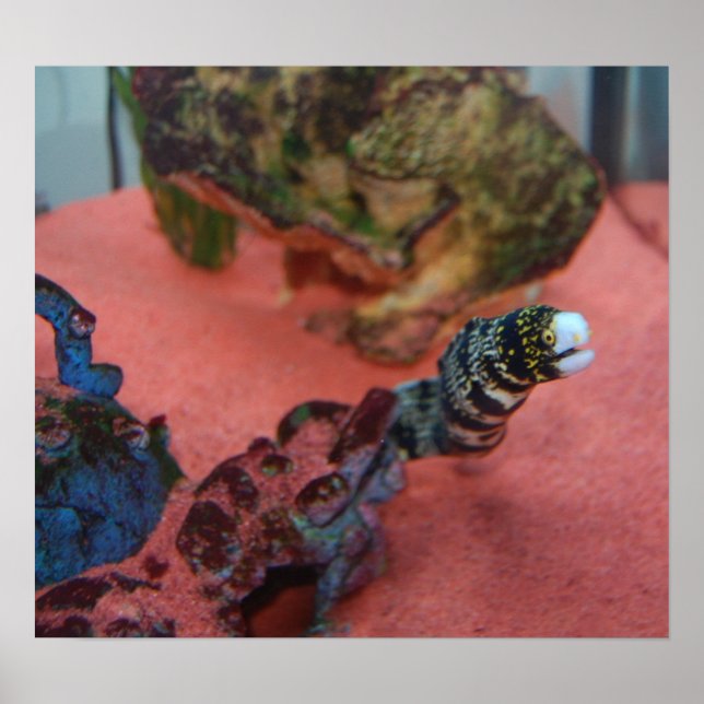 Jag är INTE slimmad! Poster (Framsidan)