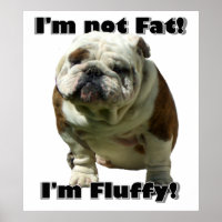 Jag är inte tjock bulldog poster
